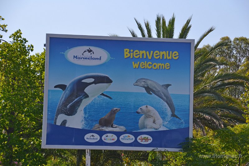 Marineland aout 2014 12.JPG - Marineland - Parc d'attractions aquatiques - Antibes - Août 2014